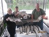 (07/05/2017) - Nice Striped Bass